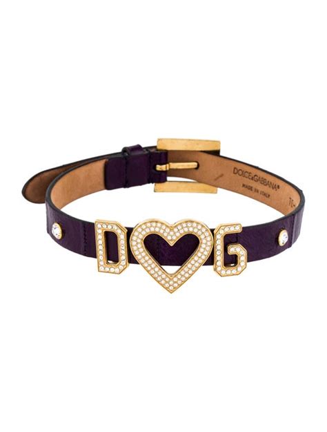 dolce gabbana dog collar|dolce and gabbana for dogs.